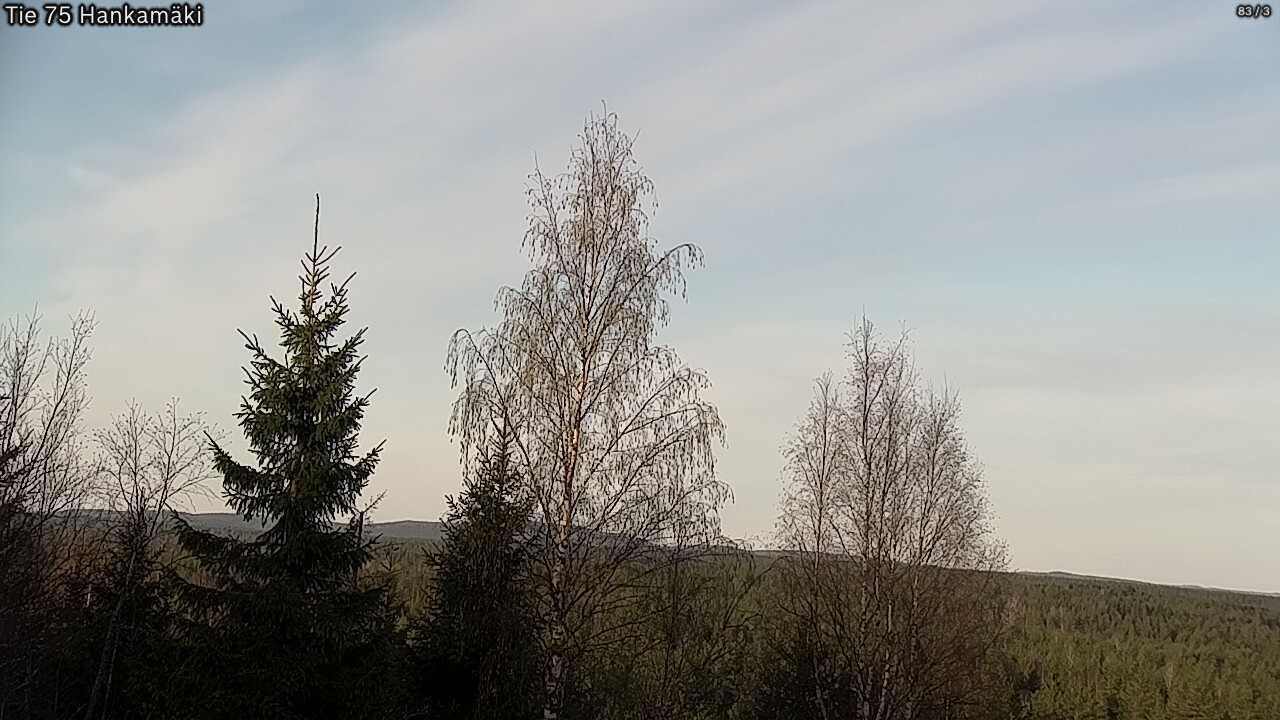 Weather Camera Image Väg 75 Rautavaara, Hankamäki, Rautavaara, Pohjois-Savo