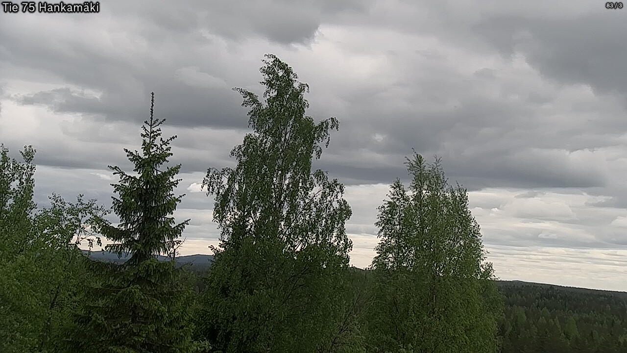 Weather Camera Image Road 75 Rautavaara, Hankamäki, Rautavaara, Pohjois-Savo