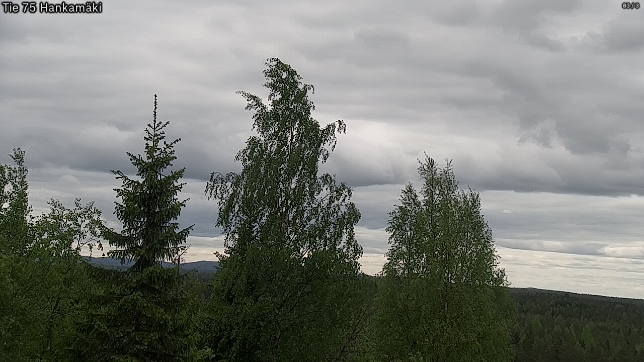 Weather Camera Image Road 75 Rautavaara, Hankamäki, Rautavaara, Pohjois-Savo