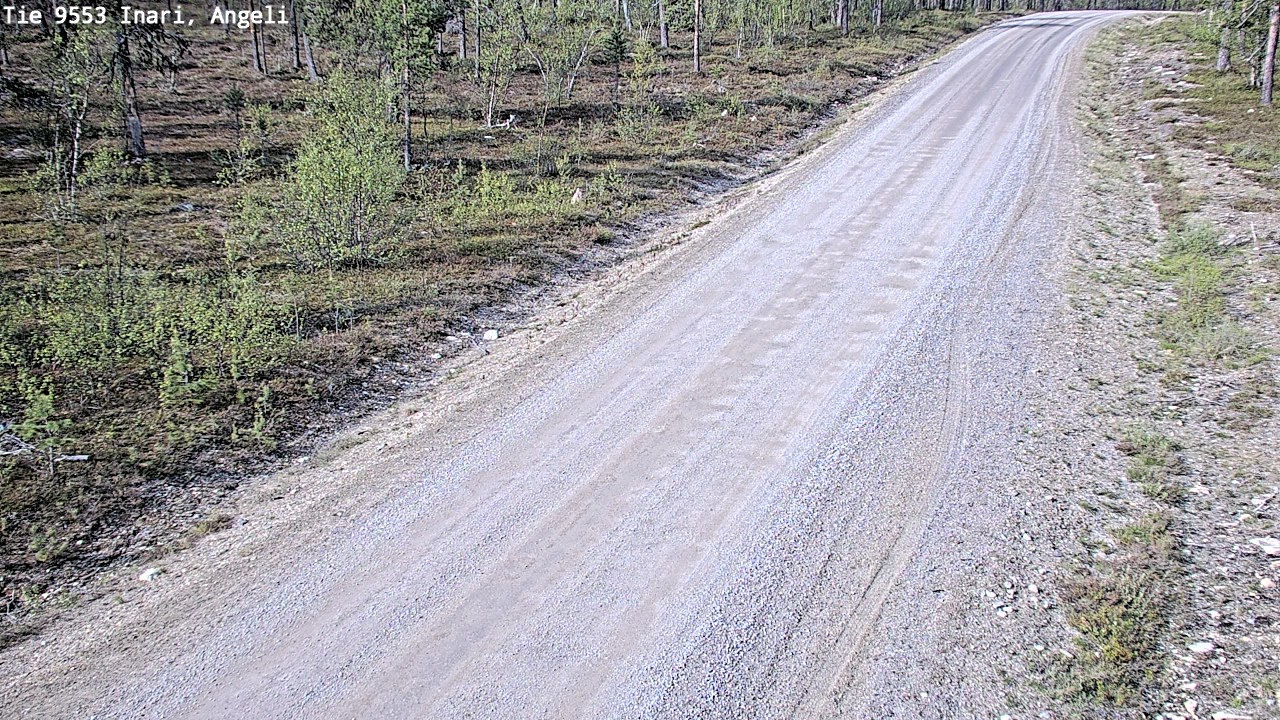 Kelikamerat Kuva Tie 9553 Inari, Angeli, Lintupuolivaara, Inari, Lappi