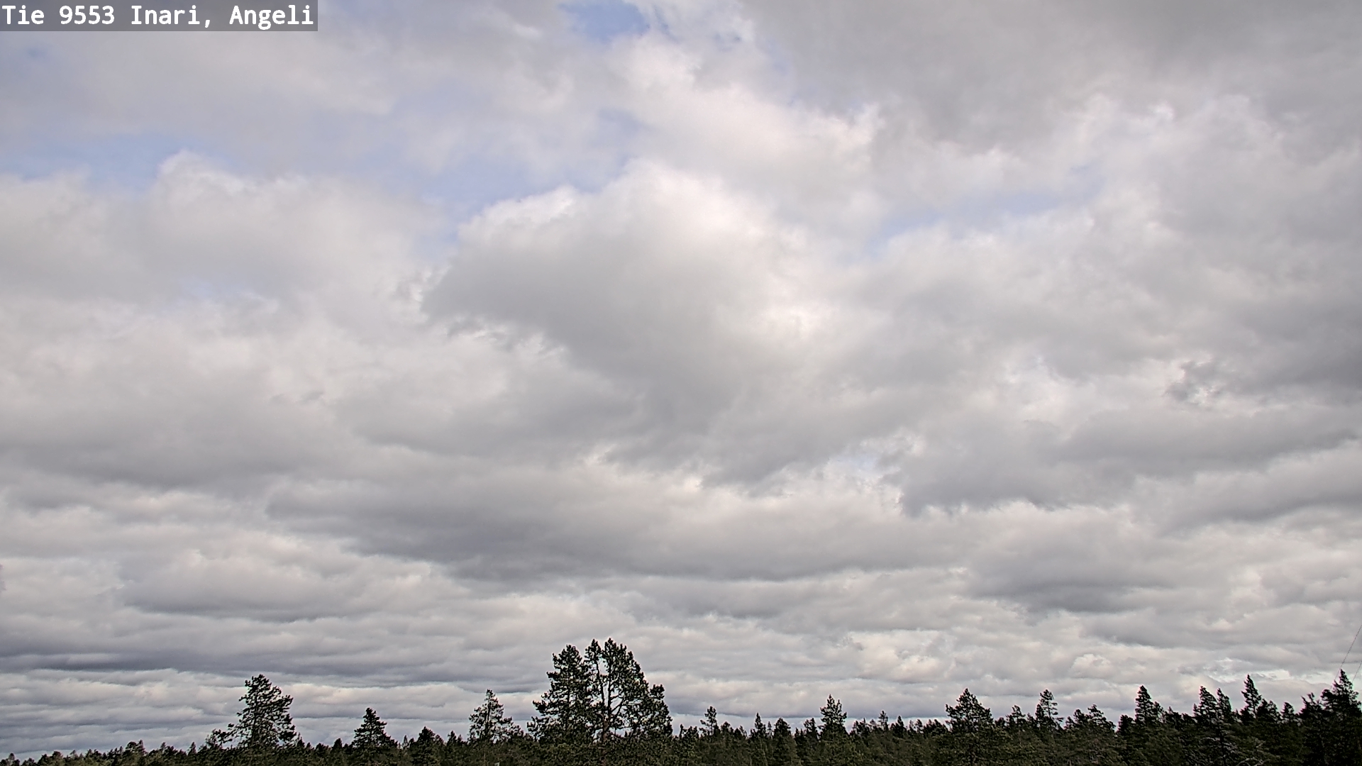 Weather Camera Image Väg 9553 Inari, Angeli, Lintupuolivaara, Inari, Lappi