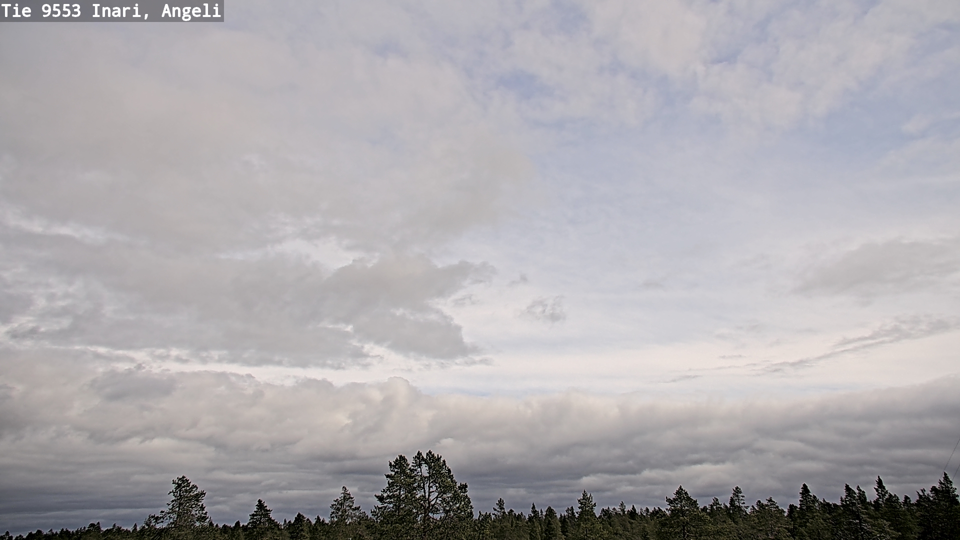 Weather Camera Image Väg 9553 Inari, Angeli, Lintupuolivaara, Inari, Lappi