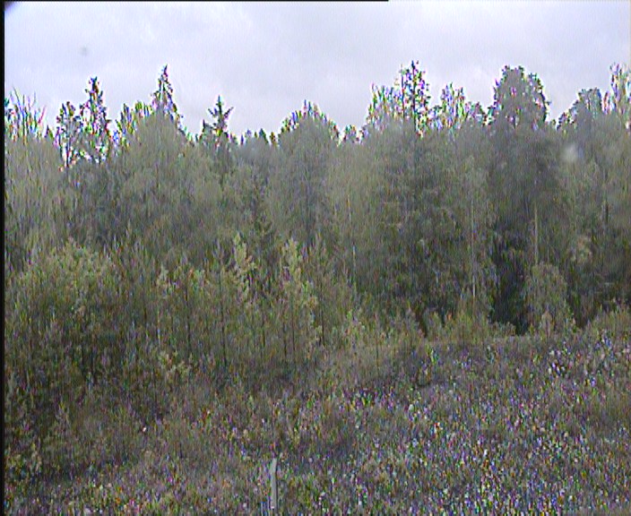 Weather Camera Image Väg 1 Lojo, Pitkämäki öst, Lohja, Uusimaa